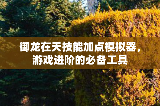 御龙在天技能加点模拟器图片