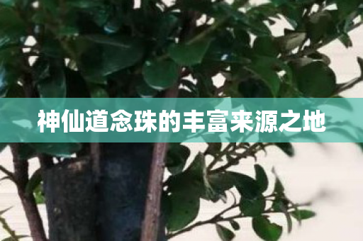神仙道念珠的丰富来源之地图片