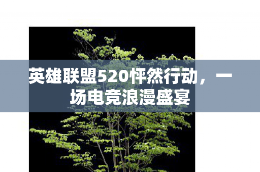 英雄联盟520怦然行动图片