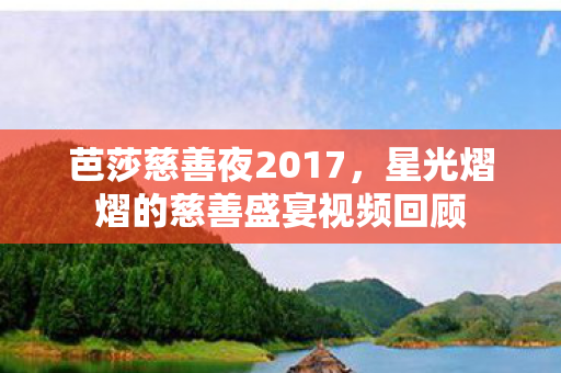 星光熠熠的慈善盛宴视频回顾图片