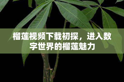 进入数字世界的榴莲魅力图片