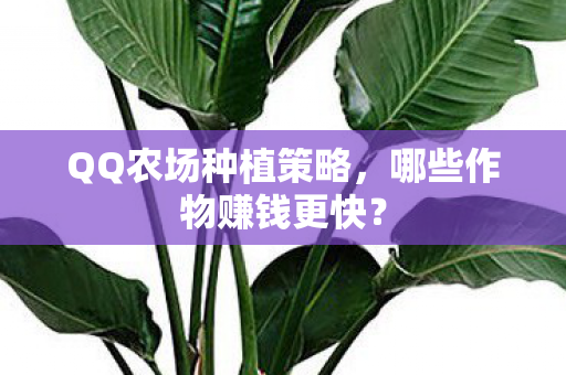 QQ农场种植策略图片