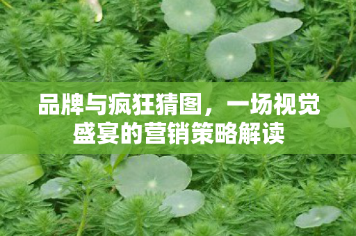 一场视觉盛宴的营销策略解读图片