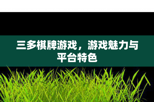 游戏魅力与平台特色图片