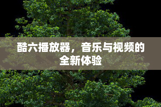 音乐与视频的全新体验图片