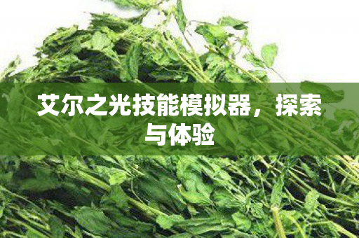 艾尔之光技能模拟器图片