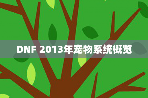 DNF 2013年宠物系统概览图片