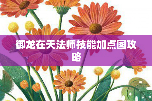 御龙在天法师技能加点图攻略图片