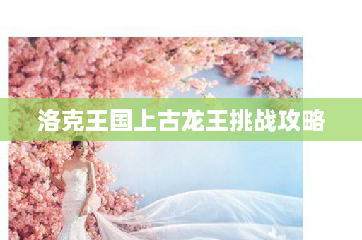 洛克王国上古龙王挑战攻略图片