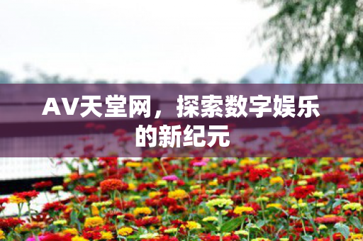 探索数字娱乐的新纪元图片