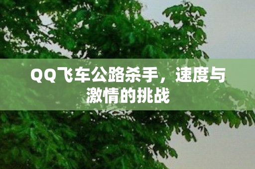 QQ飞车公路杀手图片