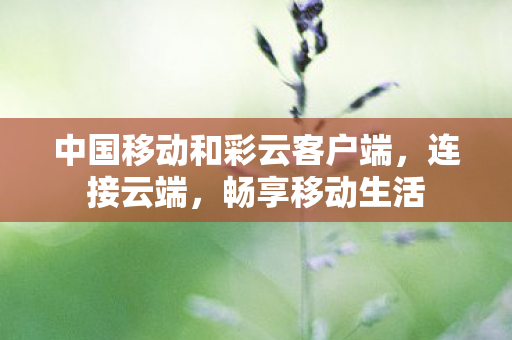 中国移动和彩云客户端图片