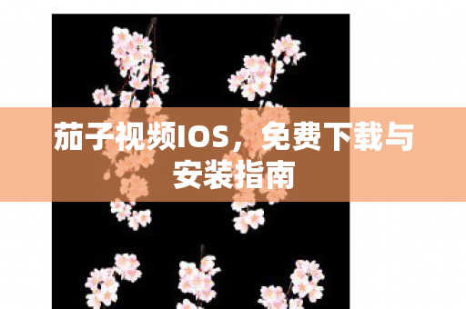 免费下载与安装指南图片