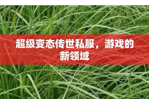 超级变态传世私服图片