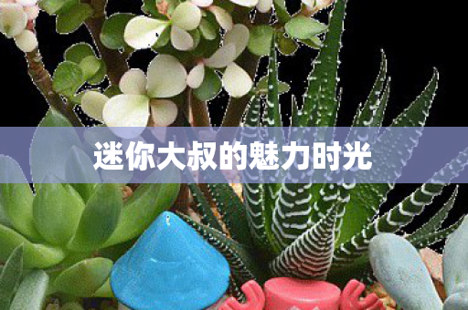 迷你大叔的魅力时光图片