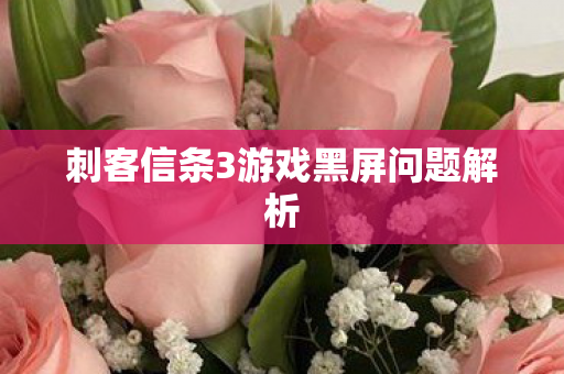 刺客信条3游戏黑屏问题解析图片