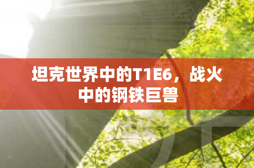 坦克世界中的T1E6图片