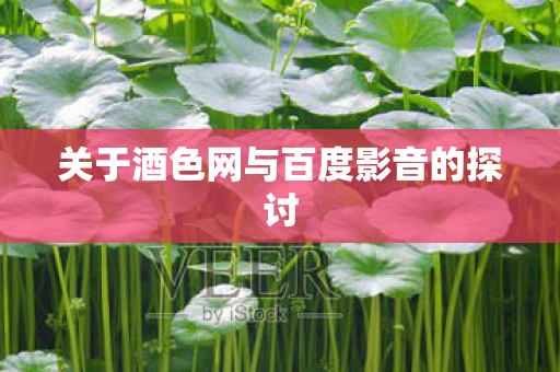 关于酒色网与百度影音的探讨图片