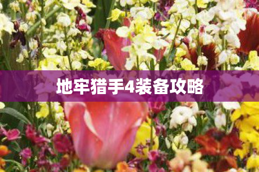 地牢猎手4装备攻略图片