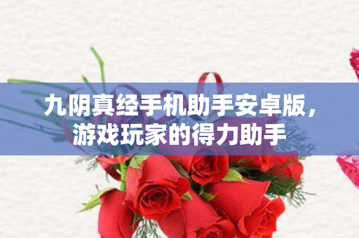 九阴真经手机助手安卓版图片