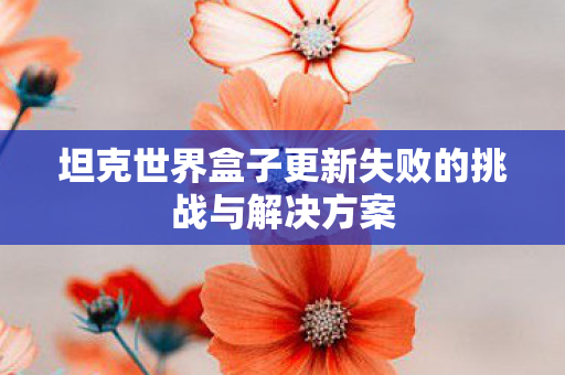坦克世界盒子更新失败的挑战与解决方案图片
