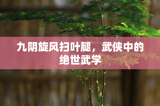 武侠中的绝世武学图片