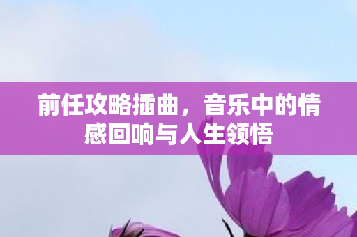 音乐中的情感回响与人生领悟图片