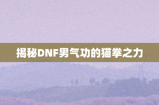 揭秘DNF男气功的猫拳之力图片