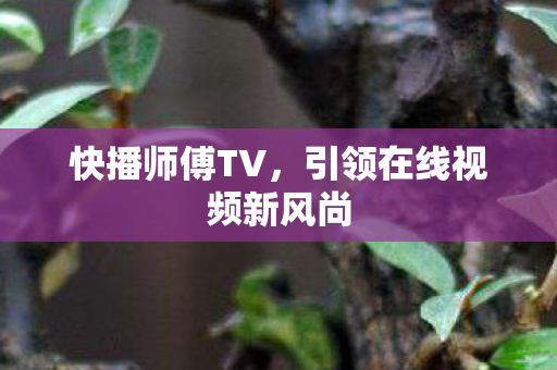 引领在线视频新风尚图片
