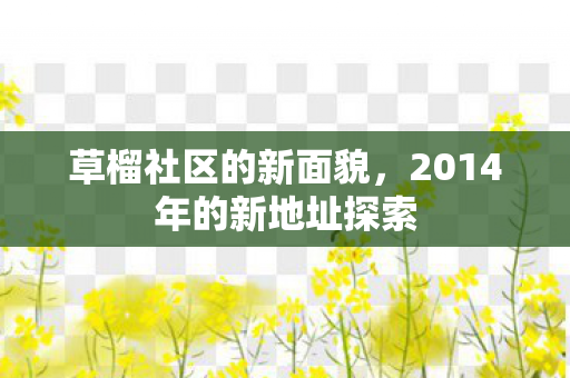 2014年的新地址探索图片