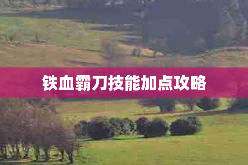 铁血霸刀技能加点攻略图片