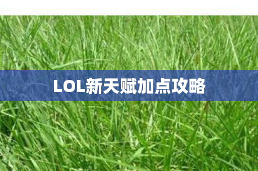 LOL新天赋加点攻略图片