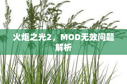 MOD无效问题解析图片
