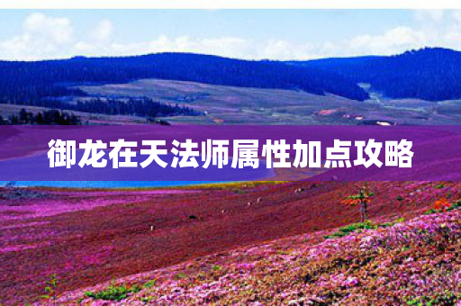御龙在天法师属性加点攻略图片