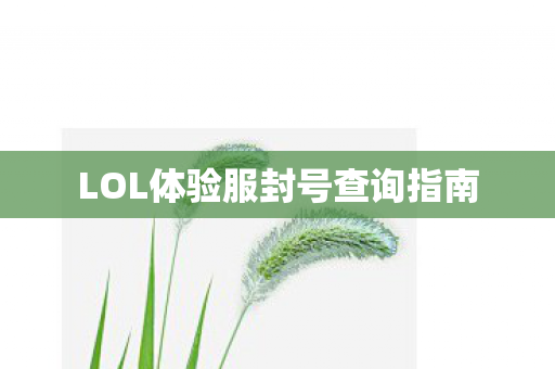 LOL体验服封号查询指南图片