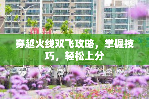 穿越火线双飞攻略图片