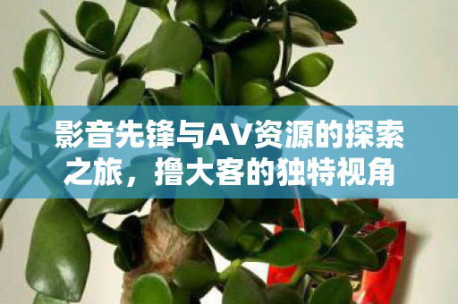 影音先锋与AV资源的探索之旅图片