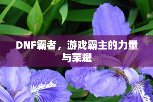 游戏霸主的力量与荣耀图片