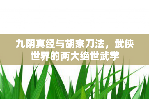 武侠世界的两大绝世武学图片
