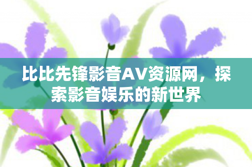 比比先锋影音AV资源网图片