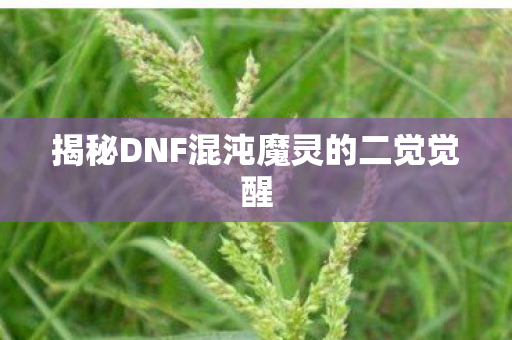 揭秘DNF混沌魔灵的二觉觉醒图片