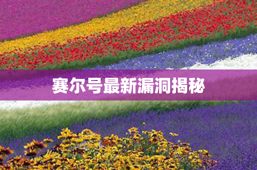 赛尔号最新漏洞揭秘图片