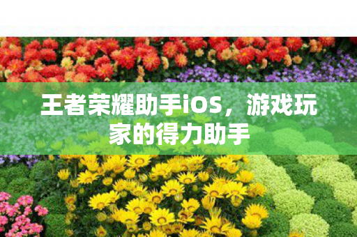 王者荣耀助手iOS图片