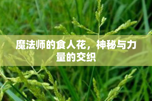 神秘与力量的交织图片