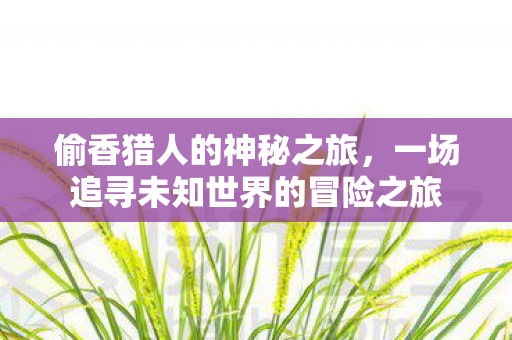 一场追寻未知世界的冒险之旅图片