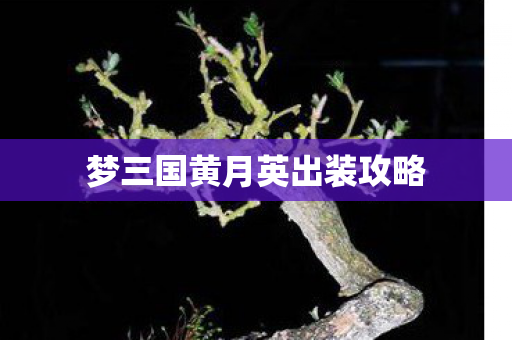 梦三国黄月英出装攻略图片