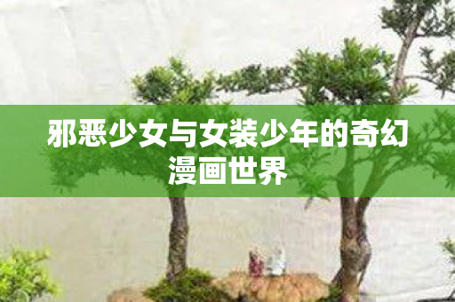 邪恶少女与女装少年的奇幻漫画世界图片