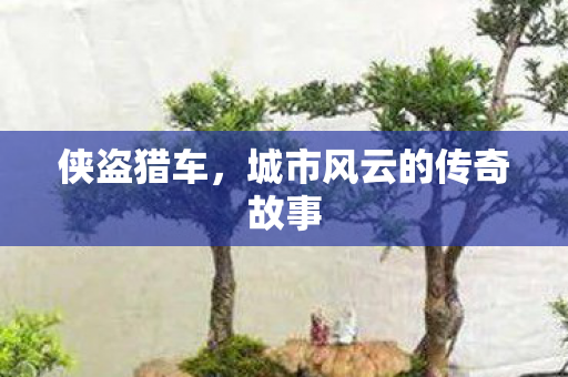 城市风云的传奇故事图片