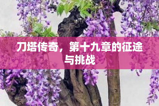 第十九章的征途与挑战图片