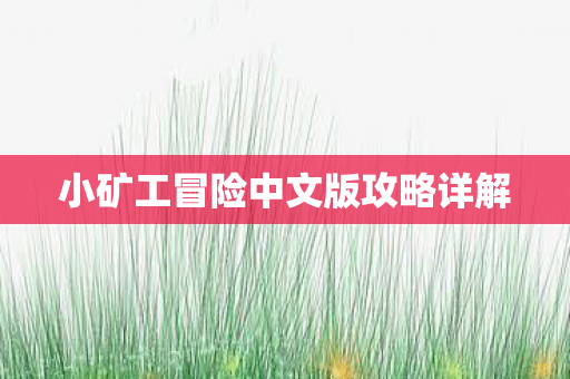 小矿工冒险中文版攻略详解图片